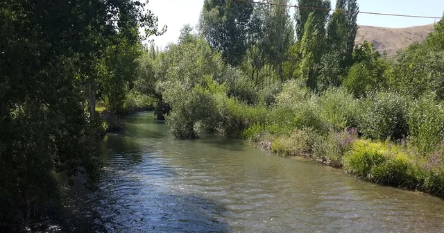 Tohma Çayı nın ekolojik sağlığı bilimsel olarak ortaya kondu Malatya Haberleri