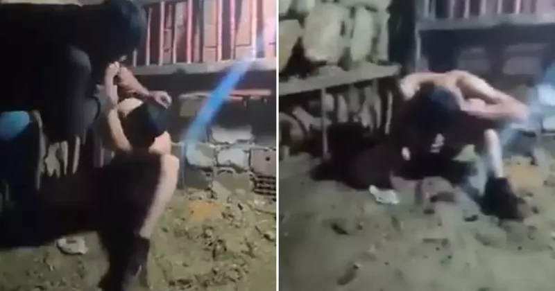 Ahırdaki işkence görüntülerinin ardından jandarma harekete geçti