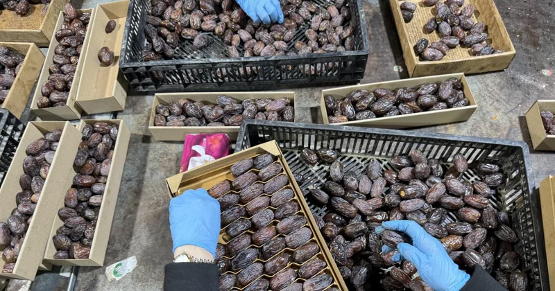 Barkodlara dikkat: İsrail hurmaları Filistin etiketiyle pazarlanıyor