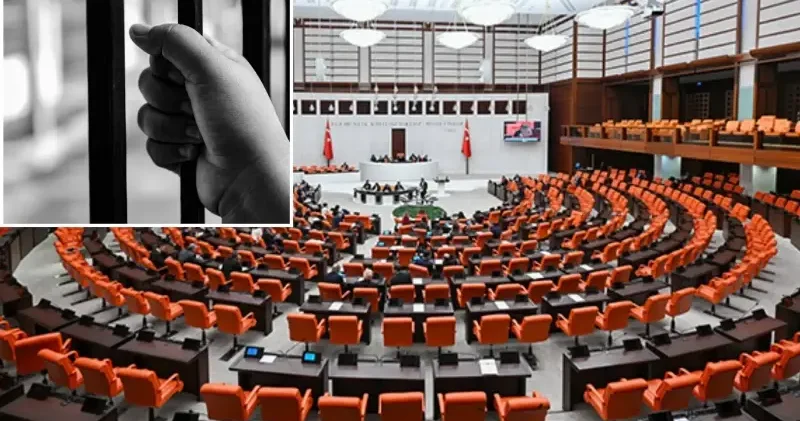 Çocuk adaletinde iki model: Kanada nın komiteleri İspanya nın STK sistemi Gündem Haberleri