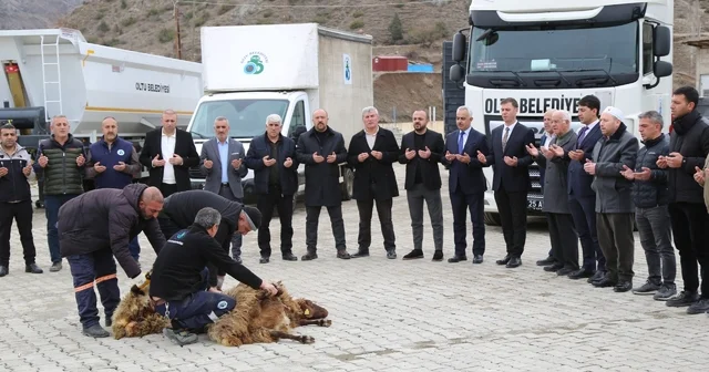 Oltu Belediyesi araç filosunu güçlendirdi Erzurum Haberleri