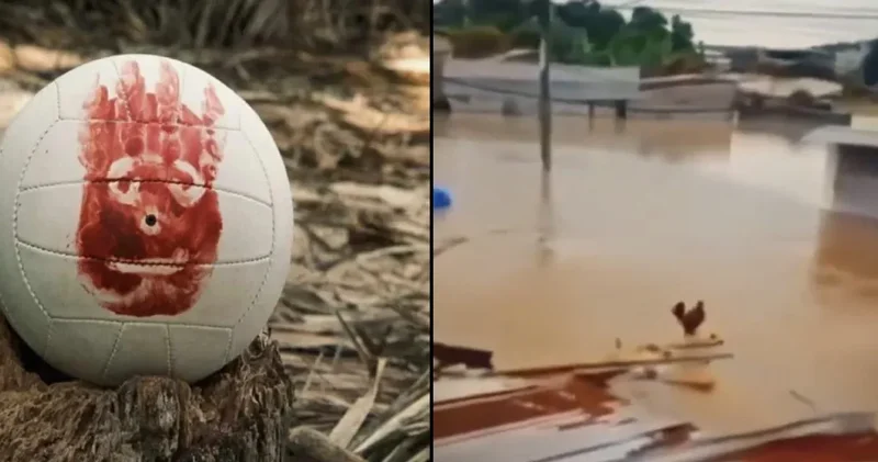 Yüzen tavuk Wilson videosunda gerçek ortaya çıktı