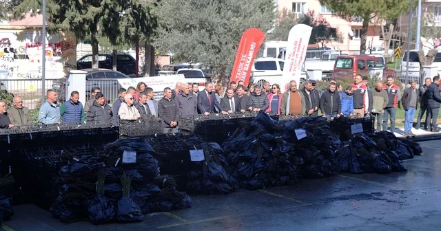 50 bin adet üzümsü fidan dağıtıldı Muğla Haberleri