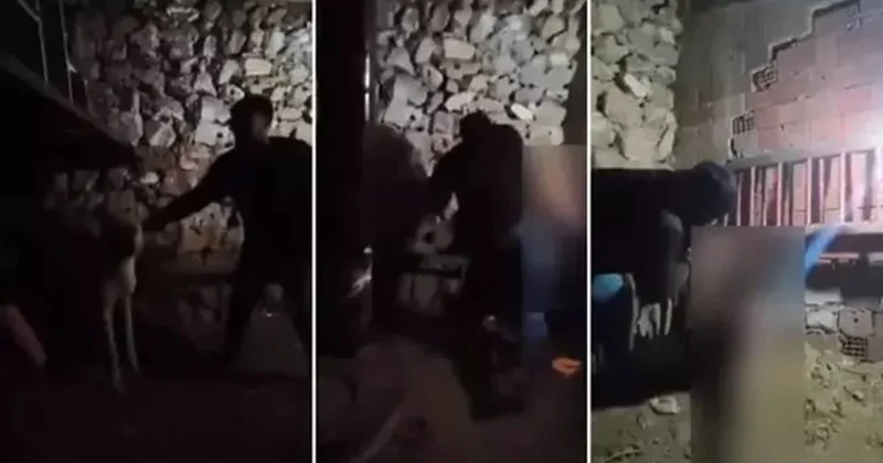 Tepkiye neden olmuştu: Ahırda işkenceye yeniden gözaltı Sözcü Gazetesi