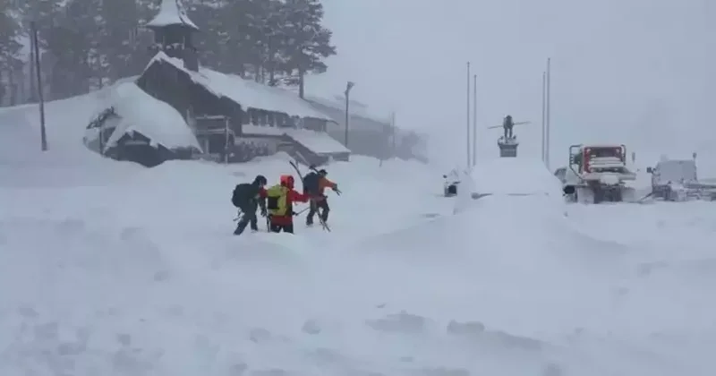 ABD deki çığ felaketinde 8 kayakçı öldü!