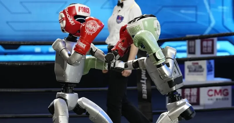 Geleceğin gladyatörleri: Çin robot boksu ringleri ele geçirdi