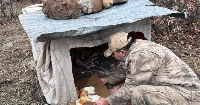 Köy yoluna bırakılan yavru köpeklere jandarmandan şefkat eli Elazığ Haberleri