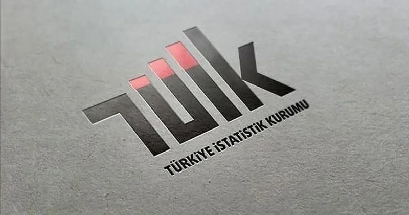 TÜİK Toplam Sanayi Üretici Fiyat Endeksi’ni erişime açıyor