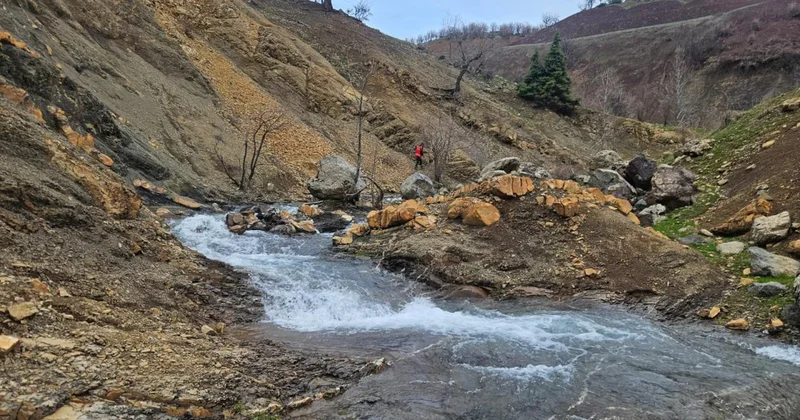 Diyarbakır kaybolan zihinsel engelli yaşlı adamı arama çalışmaları sürüyor