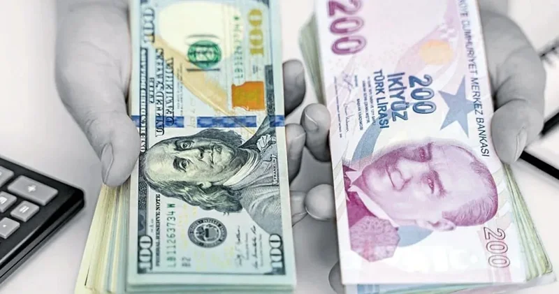 ABD li dev Goldman Sachs Türk Lirası almayı önerdi