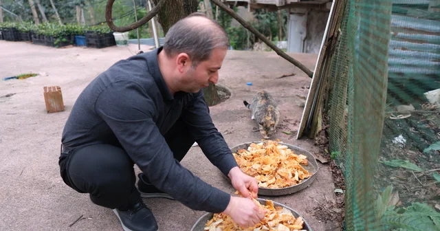 Babadan kalan anlamlı miras ; lokantada artan yiyecekleri sokak kedilerine götürüyor Rize Haberleri