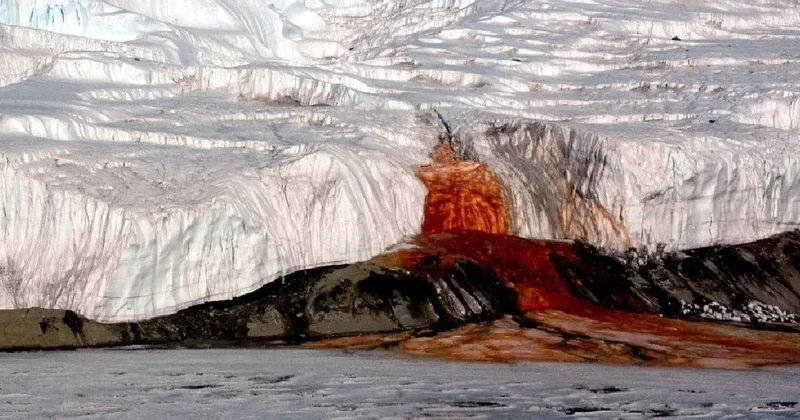 Buzun altından birden kızıl su fışkırdı: 5 milyon yıldır dünyadan saklanıyordu Sözcü Gazetesi