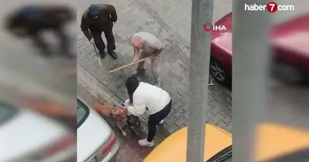 Pitbull saldırısında yeni görüntüler: Sahibinin yaptığı vahşeti getirdi