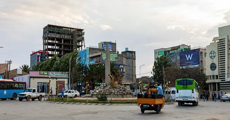 Sokaktaki hayvanlar şehre milyonlar kazandırıyor Sözcü Gazetesi