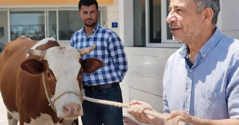 Bomba iddia: Belediye başkanının özel kalemi vatandaşı dolandırdı