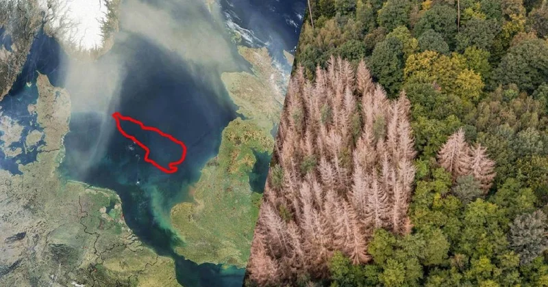 Denizin dibinde kayıp dünya bulundu: Tarih öncesine ait Sözcü Gazetesi