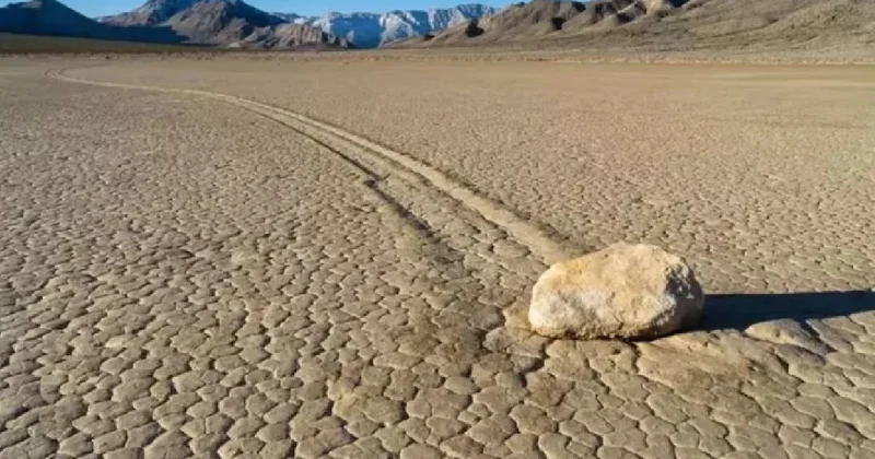 Dünyanın en sıcak yeri olan Ölüm Vadisi nde nadir doğa olayı Sözcü Gazetesi