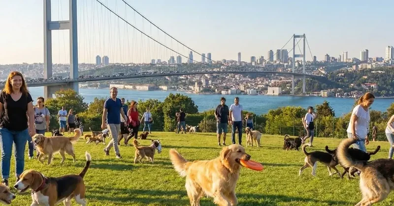 Zengin semtinde yaptığı işten 150 bin lira kazanıyor: Okumayın, iş kovalayın