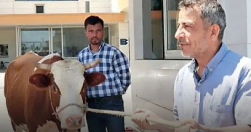 Eski Türk filmlerini hatırlatan bir olay Sözcü Gazetesi