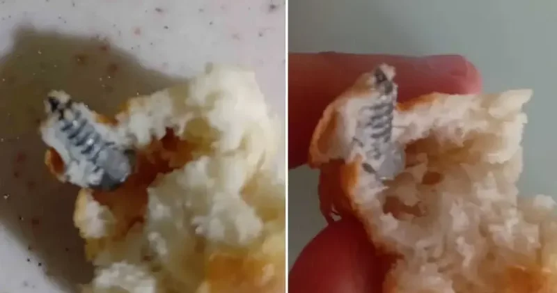 Aldığı ekmeğin içerisinden vida çıktı Elazığ Haberleri