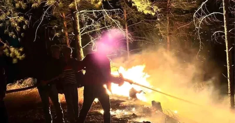 Dörtyol da Orman Yangını Kontrol Altına Alındı