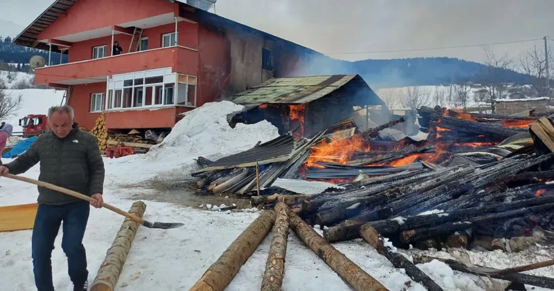 Artvin’de yangın ortalığı küle çevirdi: 1 ev 2 ahır ve 1 ambar yok oldu