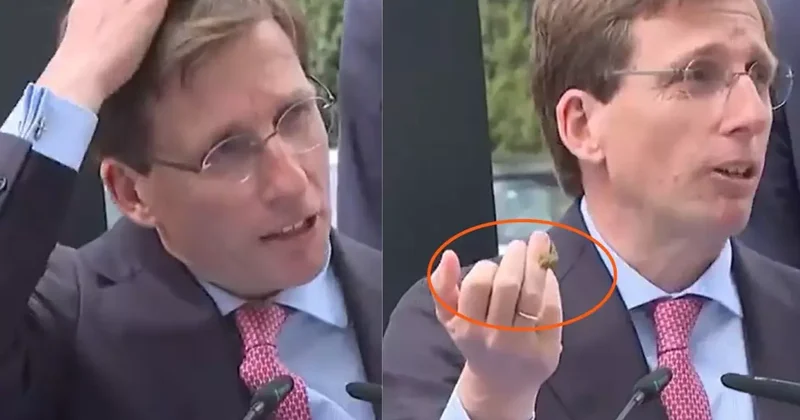 Madrid Belediye Başkanı nın konuşması sırasında güvercin müdahalesi yle yarıda kaldı