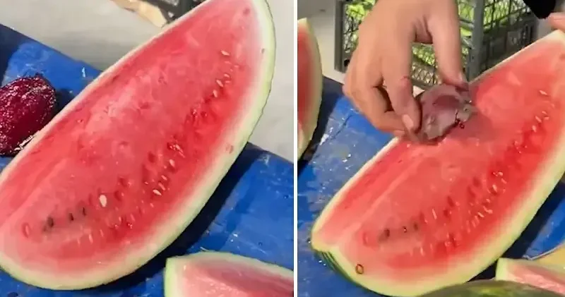 Pazarcıdan pes dedirten hile: Karpuzu daha kırmızı göstermek için yaptığı tepki çekti Aktüel Haberleri