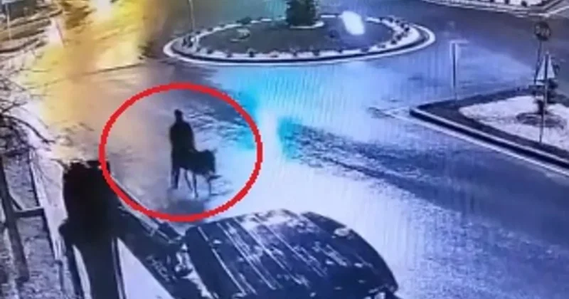 Forkliftle soygun yapıp eşekle kaçmıştı: İstenen ceza belli oldu!