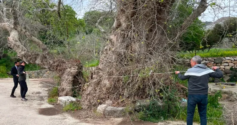 Bodrum’da yürüyüş yapanlar buldu: 2 bin yıllık olabilir