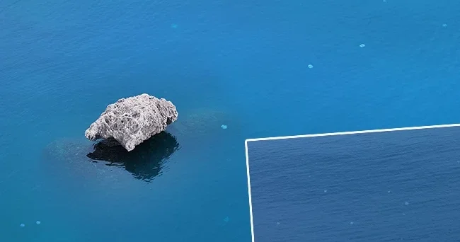 Kızıldeniz üzerinden Antalya kıyılarına geldi: Sürüler halinde geçiş yapıyorlar! Hayatımda ilk defa böyle bir şey başıma geldi