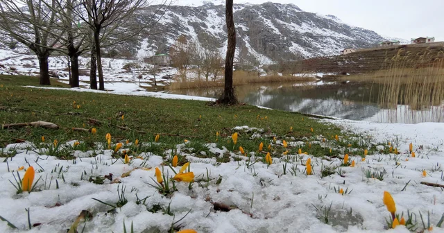 Yaylalarda karlar erimeye başladı, bahar çiçekleri açtı Antalya Haberleri