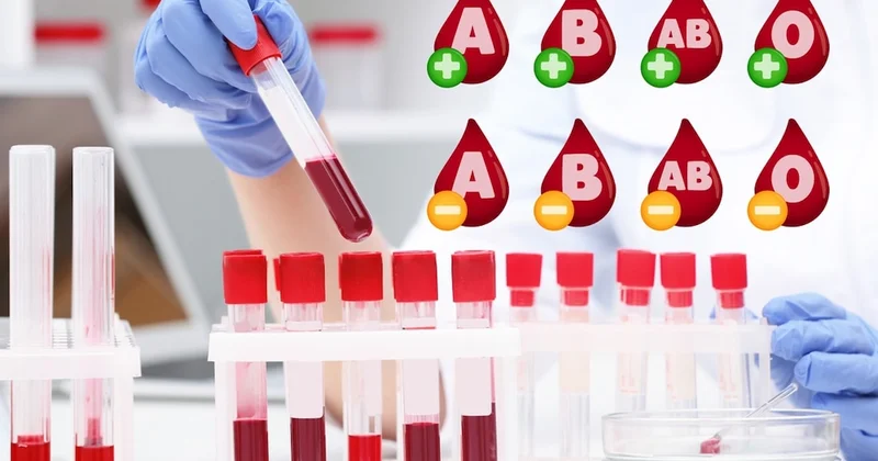 En risksiz kan grubu ortaya çıktı: Kalp krizi ihtimali daha düşük Sözcü Gazetesi