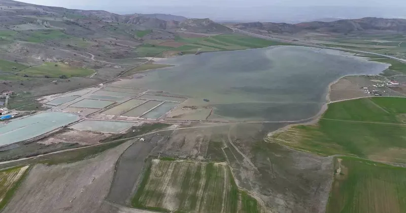 Göçmen kuşların uğrak mekanı, son yağışlarla doldu taştı