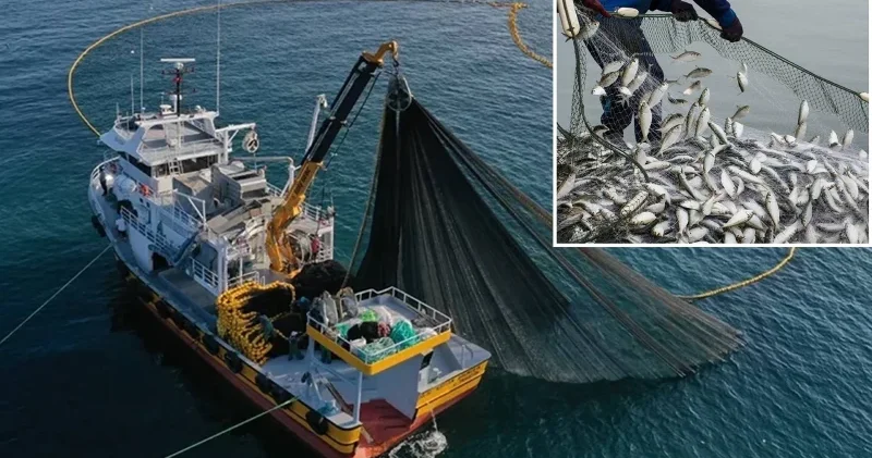 Karadeniz’in “mavi hazinesi” için büyük yarış: 22 ülke satın almak için sıraya girdi Gündem Haberleri