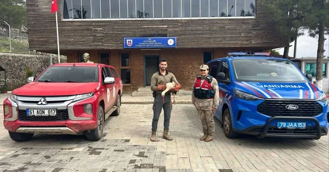 Kilis te yaralı halde bulunan leylek tedavi altına alındı Kilis Haberleri