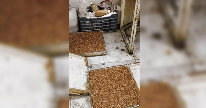 Kötü koku gerçeği ortaya çıkardı: Evden kaçak imalathane çıktı