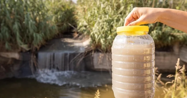 Gediz Havzası nda kirlilik artıyor İzmir Haberleri