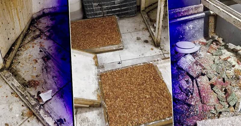 Utanmadan bunları vatandaşa yedireceklerdi! Pislik içinde üretime cezası kesildi