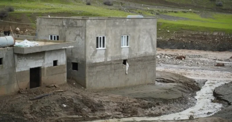 Siirt te sağanak sonrası facia: 35 küçükbaş öldü