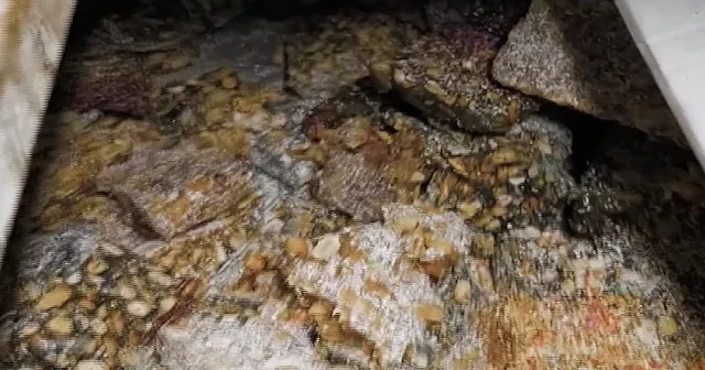 Müstakil evden kaçak imalathane çıktı: Mide bulandıran manzaraya zabıta baskını kamerada VİDEO İZLE