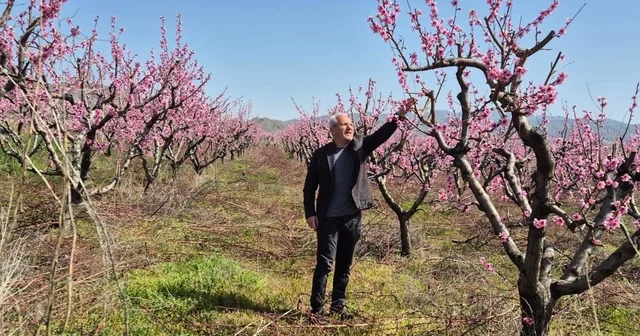 Elazığ da meyve bahçelerinde entegre mücadele çalışması Elazığ Haberleri