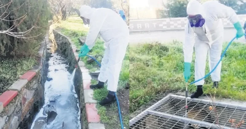 Turizmde sivrisineğe geçit yok: 9 ilde kapsamlı temizlik