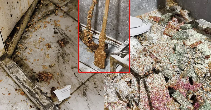 SON DAKİKA… Hatay’da kötü koku ekipleri alarma geçirdi! Kaçak imalathanede mide bulandıran manzara…