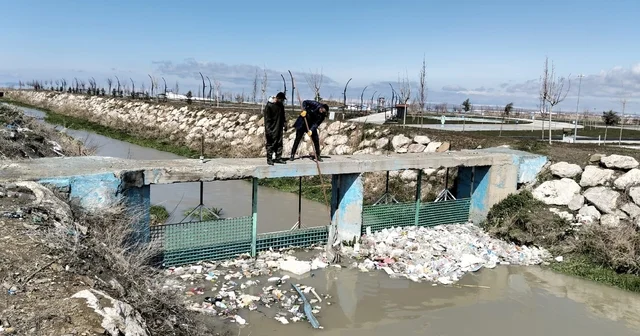 Van daki dereler ve sahil bandı inci kefalleri için temizleniyor Van Haberleri