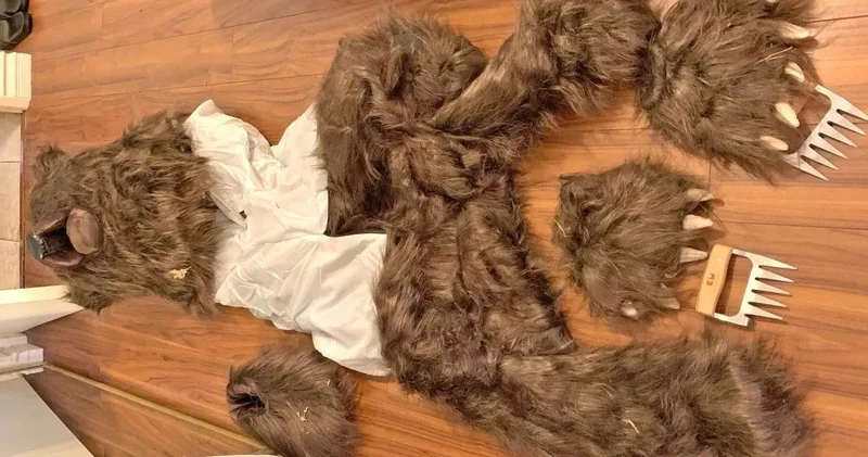 Sahte ayı kostümüyle 142 bin dolarlık dolandırıcılık!