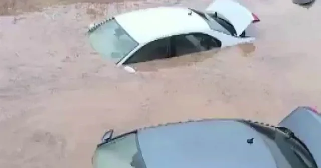 Siirt’te araçlar sel sularında kayboldu onlarca hayvan telef oldu VİDEO İZLE