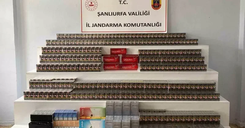 Viranşehir’de 4 bin 900 paket kaçak sigara ele geçirildi