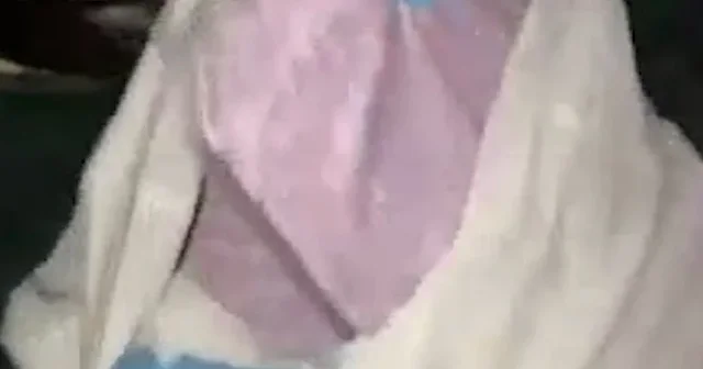 Küçükçekmece’de piyasa değeri 25,5 milyon lira olan 47 bin 873 ekstazi hap ele geçirildi VİDEO İZLE