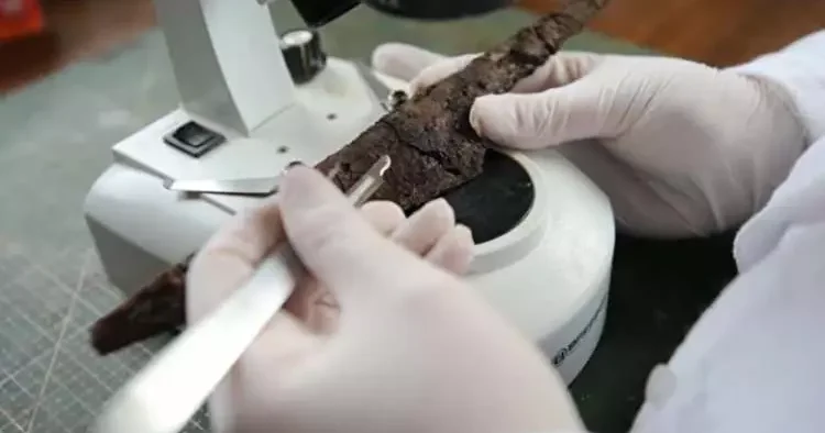 Tarihi keşif! Hadrianopolis’te 1500 yıllık sır toprağın altından çıktı